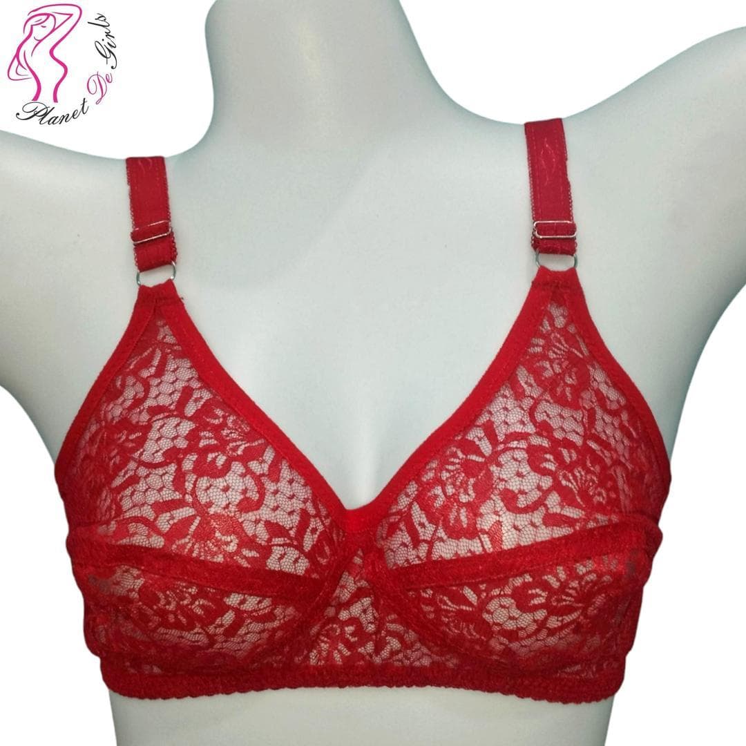 Fabric: Net Pattern: Plain Product Comfortable And Breast thable