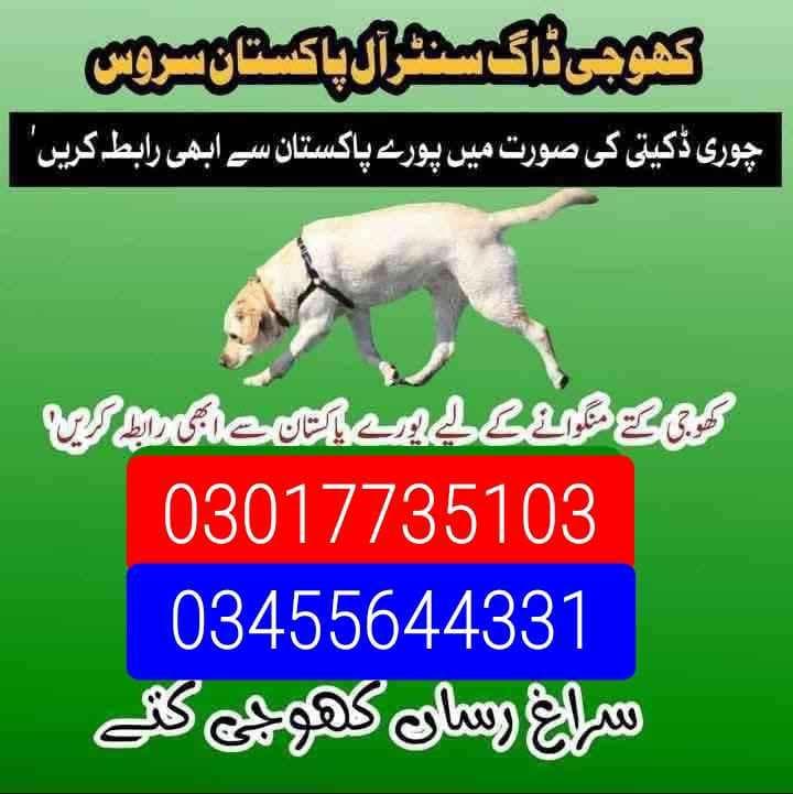army dog center mianwali 03017735103